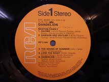 LP レコード 帯 NEWTON FAMILY ニュートン ファミリー dandelion ロマネスク伝説 【E+】 D14934W_画像4