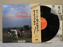 LP レコード 帯 本田竹曠 他 NATIVE SUN ネイティブ サン SAVANNA HOTLINE サバンナ ホットライン【E+】 D15712E_画像1