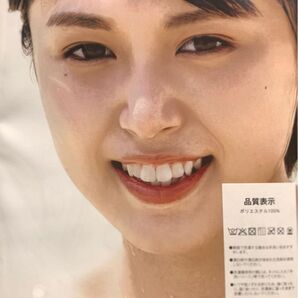 北向珠夕/B1ビッグサイズ/ダブルスエード生地/上質/タペストリー