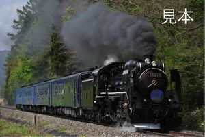 鉄道写真　新緑の釜石線を走るSL銀河号 No.3