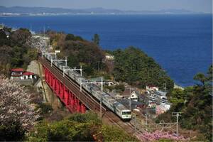 鉄道写真　185系特急踊り子号No.5 白糸川橋梁を渡る踊り子号