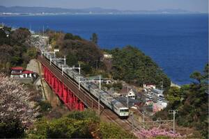 鉄道写真　185系特急踊り子号No.5 白糸川橋梁を渡る踊り子号