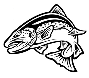 niji форель стикер 20×16.5 (cm) Ra09L [ fly шерсть игла рыбалка рыба . рыбалка Rainbow форель ]