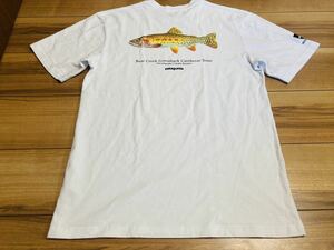 patagonia パタゴニア p6 トラウト　ワールドツアー　tシャツ 半袖Tシャツ ２０１９年製 ＷＨＩ　レギュラーフィット　Ｓサイズ　美品