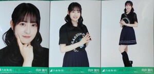 乃木坂46　生写真　３種コンプ　向井葉月　真夏の全国ツアーライブTシャツ東京