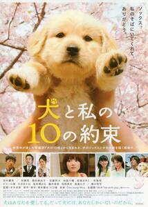 映画チラシ『犬と私の１０の約束』2008年公開 田中麗奈/加瀬亮/福田麻由子/佐藤祥太/池脇千鶴