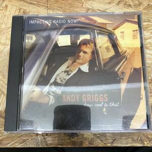 シ● POPS,ROCK ANDY GRIGGS - HOW COOL IS THAT シングル CD 中古品