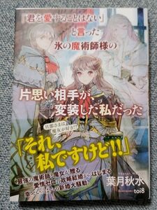 「君を愛することはない」と言った氷の魔術師様の片思い相手が、変装した私だった