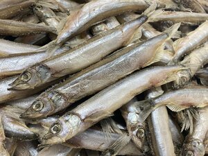  male .... net dried 5kg Bulk .... male .... shishamo smelt dried food snack from . considering ...[ water production f-z]