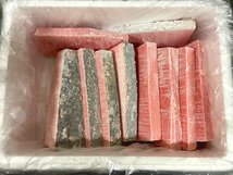 養殖 本マグロ 中トロ ハラ 3kg 約10サク まぐろ マグロ 鮪 クロマグロ くろまぐろ 本まぐろ お刺身 お寿司 中トロ【水産フーズ】_画像3