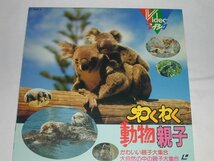 （ＬＤ：レーザーディスク）わくわく動物親子 かわいい親子大集合【中古】_画像1