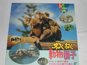 (LD: laser disk ). hoe . animal parent . lovely parent . large set [ used ]