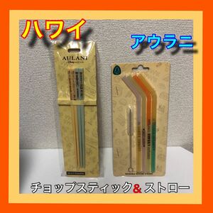 ハワイ アウラニ限定 チョップスティック&ストロー