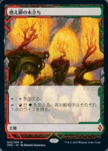 MTG ■土地/日本語版■ 《燃え柳の木立ち/Grove of the Burnwillows》ゼンディカーエクスペディション ZNE