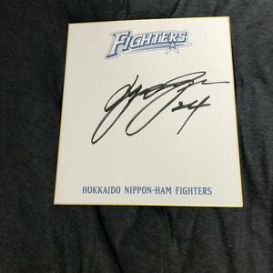 Art hand Auction Hokkaido Nippon-Ham Fighters Yuki Nomura Spieler-Autogramm auf farbigem Papier, Baseball, Souvenir, Verwandte Waren, Zeichen