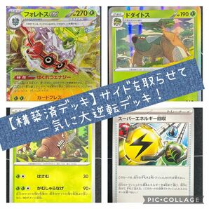 【構築済デッキ】フォレストex ドダイドス カイロス エネルギー　ザルード　ナタネの活気　スーパーエネルギー ダメカン付NOA34