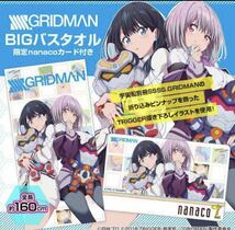 SSSS.GRIDMAN グリッドマン BIGバスタオル　nanacoカード付 立花 アカネ 新品未開封 ナナコ限定nanacoカード 電光超人グリッドマン コミケ _画像1