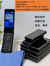 SIMロック解除済 SH-06G AQUOSケータイ ★ブラック★ ガラケー SHARP DoCoMo 本体 白ロム 判定〇 ナノSIM 良品【送料無料】_画像1