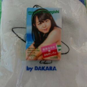 1/6サイズ Tシャツ 1枚 AKB48のミニチュア写真集 峯岸みなみ ドラゴン