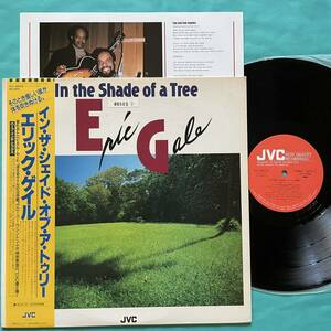 K-7 JAZZ 帯付き 国内盤 エリック・ゲイル ERIC GALE / IN THE SHADE OF A TREE VIJ-28018 LP レコード アナログ盤