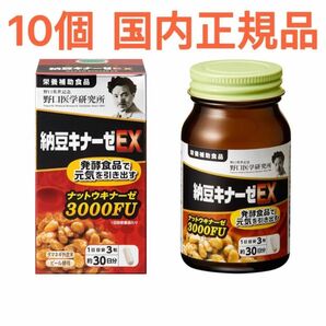 野口医学研究所 納豆キナーゼEX 3000FU 国内正規品 10個 新品 未開封 未使用 血糖 血圧 血管 リニューアル