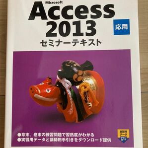 Ｍｉｃｒｏｓｏｆｔ　Ａｃｃｅｓｓ　２０１３　応用 （セミナーテキスト） 日経ＢＰ社／著・制作