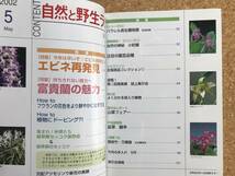 自然と野生ラン 2002年5月号　※ エビネ 富貴蘭 セッコク ※ 園芸JAPAN_画像3