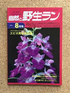 自然と野生ラン 1994年8月号　※ エビネ ミヤマウズラ ウチョウラン 富貴蘭 セッコク オモト ※ 園芸JAPAN