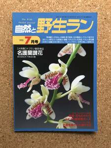 自然と野生ラン 1995年7月号　※ エビネ ウチョウラン ナゴラン 春蘭 ミヤマウズララ カンアオイ ※ 園芸JAPAN