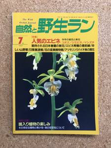  природа .. сырой Ran 1997 год 7 месяц номер * креветка ne весна орхидея Miyama uzla* садоводство JAPAN