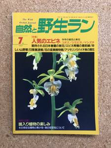 自然と野生ラン 1997年7月号　※ エビネ 春蘭 ミヤマウズラ ※ 園芸JAPAN