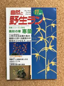 自然と野生ラン 2001年11月号　※ 寒蘭 エビネ ツワブキ セッコク 春蘭 ※ 園芸JAPAN