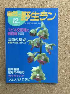  природа .. сырой Ran 2003 год 12 месяц номер * холод орхидея креветка nefyuno - nawalakalatachibana весна орхидея * садоводство JAPAN
