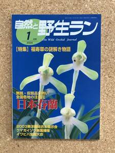 自然と野生ラン 2004年1月号 ※ 福寿草 春蘭 クマガイソウ イワヒバ ※ 園芸JAPAN