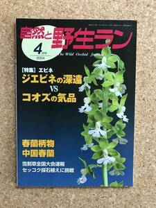 自然と野生ラン 2004年4月号 ※ エビネ 春蘭 雪割草 セッコク ※ 園芸JAPAN