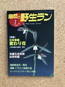 自然と野生ラン 2005年1月号　※ シュンラン 寒蘭 雪割草 イワヒバ ※ 園芸JAPAN