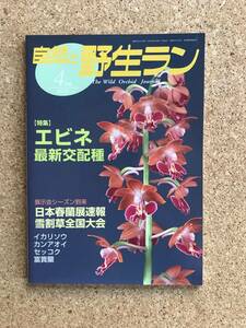 自然と野生ラン 2006年4月号　※ エビネ 春蘭 雪割草 カンアオイ ※ 園芸JAPAN