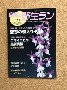 自然と野生ラン 2009年10月号　※ エビネ 寒蘭 春蘭 カンアオイ ※ 園芸JAPAN