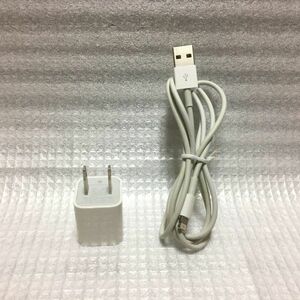 ● Apple 純正品 5W 電源 AC アダプタ A1385 Lightning USB ライトニング ケーブル Mac iPod touch classic nano mini iPhone iPad 充電器