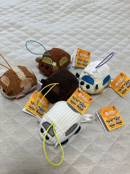 PUI PUI モルカー コーデュロイミニマスコット 全5種 コンプリート