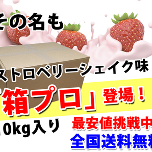 送料無料★国産★ストロベリーシェイク味★ホエイプロテイン10kg★含有率81%★アミノ酸スコア100★イチゴ味★国産最安値挑戦中★いちご味の画像3