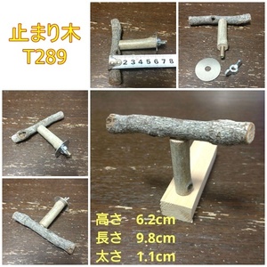  perch ( branch :TOY-23-004) T289