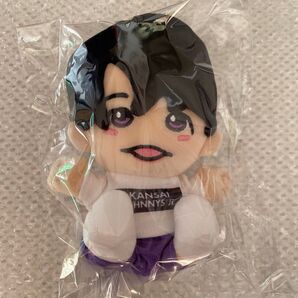 大西風雅 ちびぬい