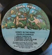 Charlie Daniels Honey In The Rock 1973年　米国オリジナル盤　ksbs2071　_画像4
