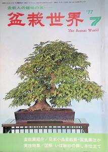 Bonsai World July 1977 Выпуск 1977 1977 Ivary Cedar Cut -Hailored Tree Shrine YB230712S1