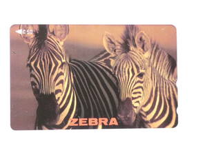 ^091 free shipping ^ unused telephone card ZEBRA.... zebra 50 frequency 
