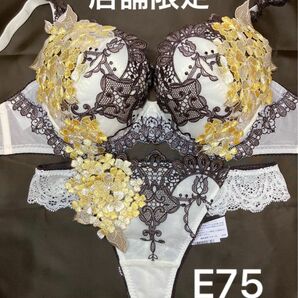 新品　ワコール　サルート　店舗限定　49G E75 ソングM IV