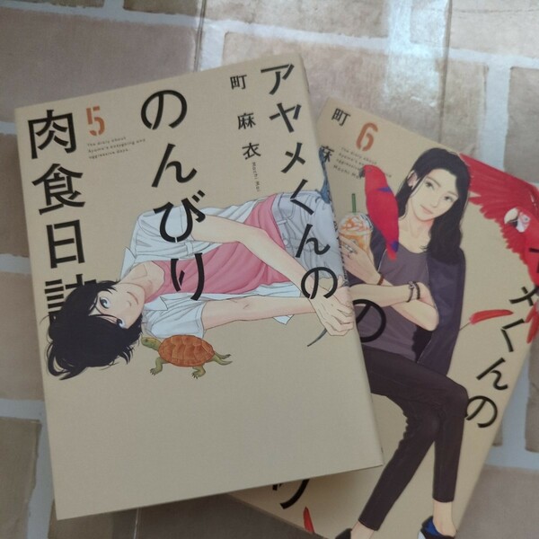 本　book　漫画　アヤメくんののんびり肉食日記　5巻　6巻　町麻衣　ドラマ化　