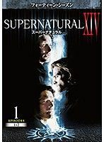 【中古】SUPERNATURAL スーパーナチュラル XIV フォーティーン・シーズン 全10巻セット s20323【レンタル専用DVD】