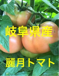 岐阜県産麗月トマト　注文ページ